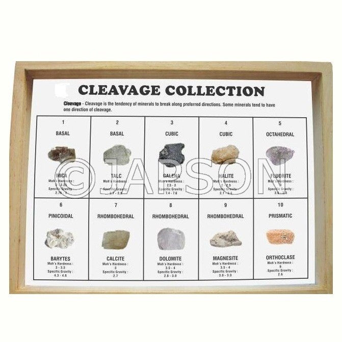 Cleavage Collection, Set of 10 Cleavage Collection, Set of 10